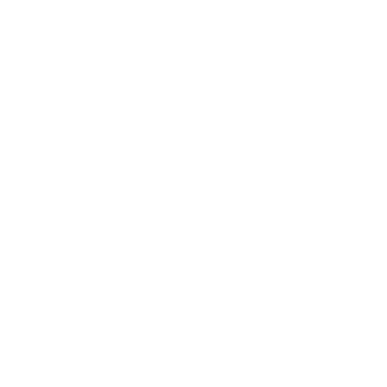 logo ibv 350